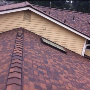 Roofing and Waterproofing in Chicago, IL