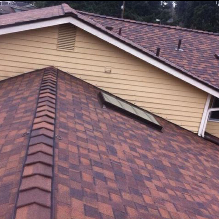 Roofing and Waterproofing in Chicago, IL