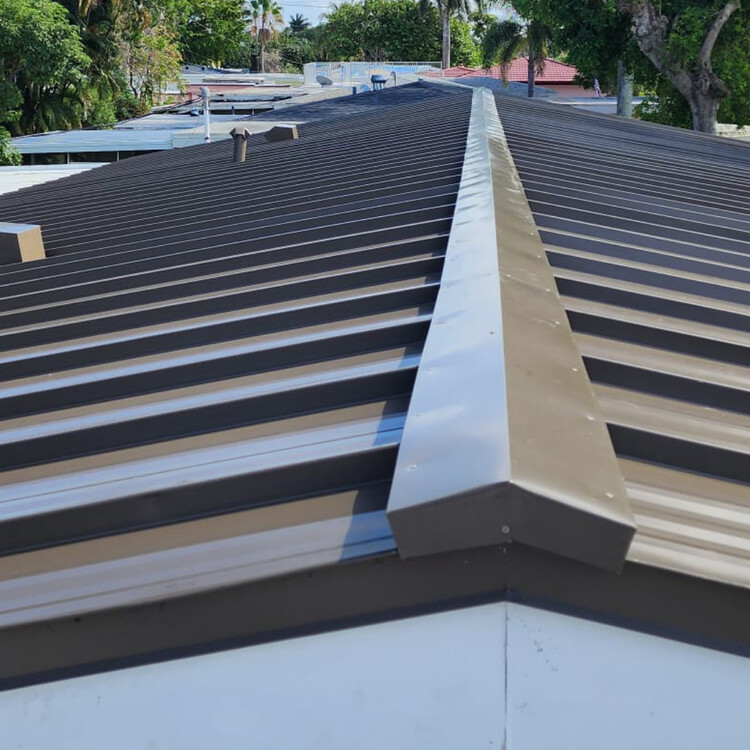 Roofing and Waterproofing in Chicago, IL