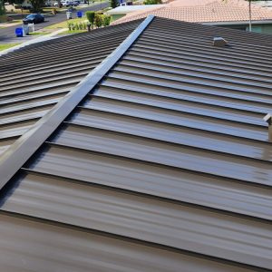 Roofing and Waterproofing in Chicago, IL