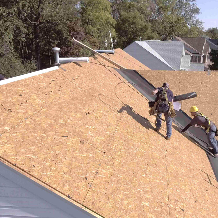 Roofing and Waterproofing in Chicago, IL
